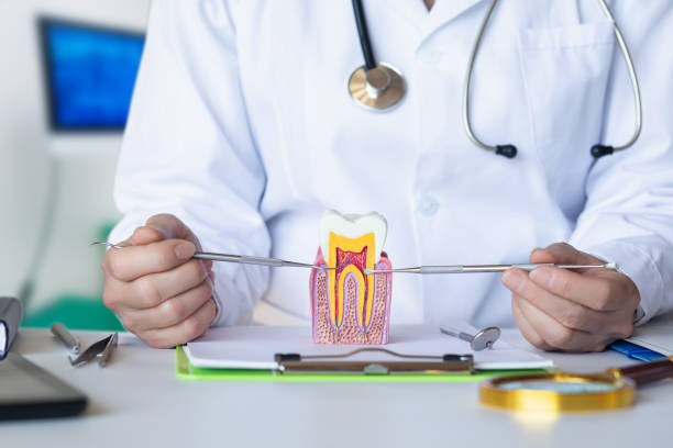 Best Root Canal Emergency Dentist  in North Bay Shore, NY